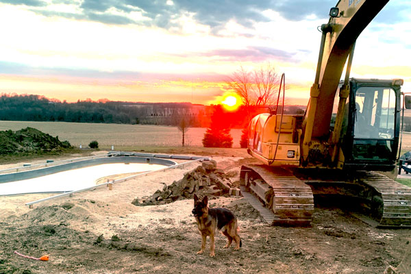 Brinkmann dog, ready to start working with a beautiful sunset.